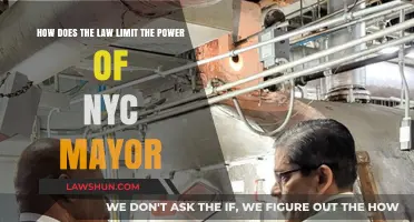 NYC Mayoral Authority: Legal Constraints on the Mayor's Power