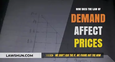 Understanding the Law of Demand: How Consumer Behavior Influences Price Fluctuations