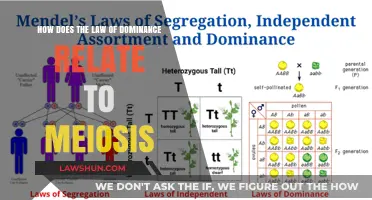 Understanding the Law of Dominance and Its Role in Meiosis