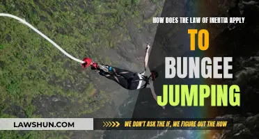 Inertia Law: Bungee Jumping Explained