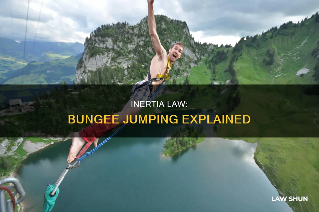 how does the law of inertia apply to bungee jumping