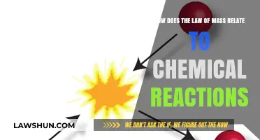 Understanding the Law of Mass Action in Chemical Reactions