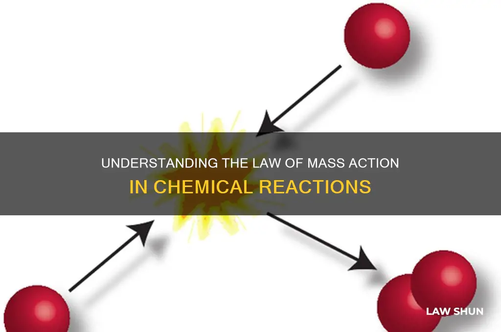 how does the law of mass relate to chemical reactions
