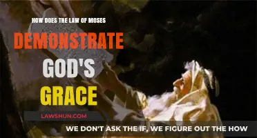 God's Grace in the Law of Moses: A Divine Gift