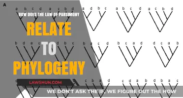 Parsimony's Role in Unraveling Evolutionary Relationships and Phylogenetic Trees