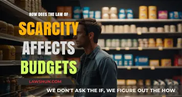 Scarcity's Impact: How Limited Resources Shape Budgeting Strategies
