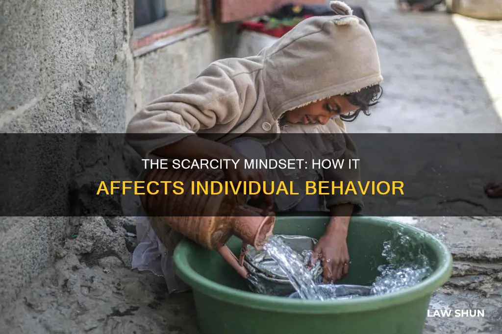 how does the law of scarcity apply to individuals