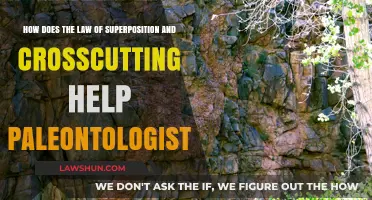 Unraveling Earth's History: Superposition and Crosscutting in Paleontology