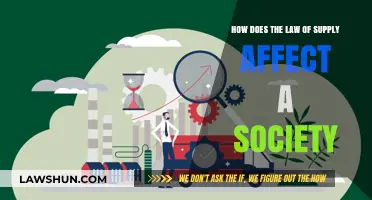 Supply Law's Impact: Shaping Economies, Societies, and Daily Life