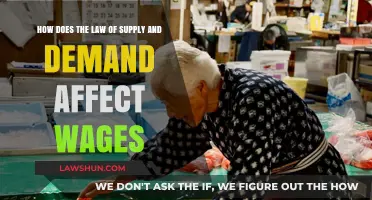 Supply, Demand, and Wages: Understanding the Economic Forces Shaping Pay