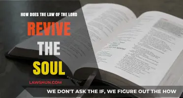 Reviving the Soul: The Transformative Power of the Lord's Law