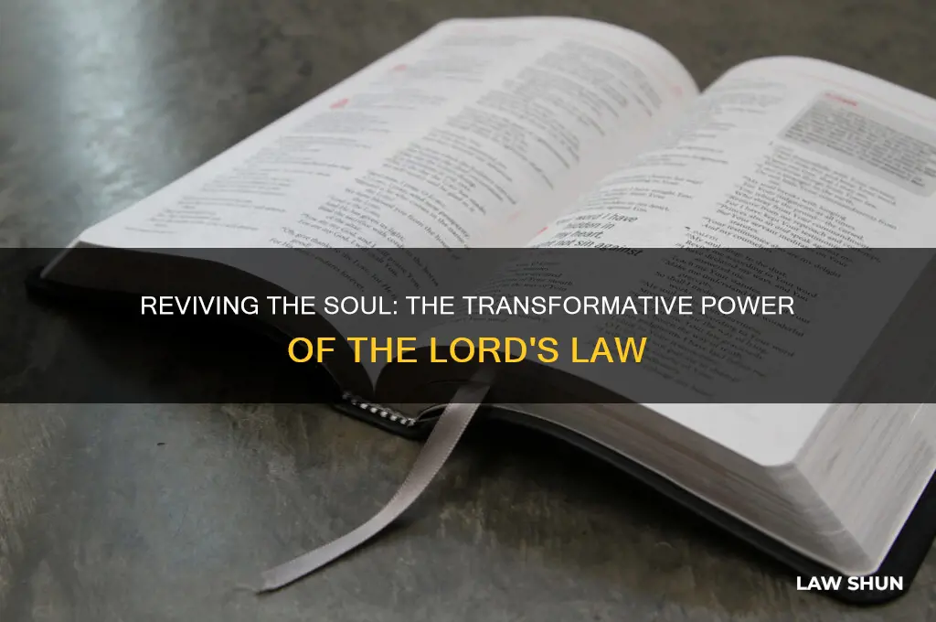 how does the law of the lord revive the soul