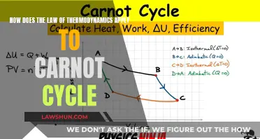 Thermodynamics Law and the Carnot Cycle: Efficiency Explained