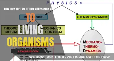 The Life-Giving Laws of Thermodynamics