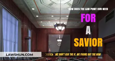 The Law's Demand: Revealing Our Need for a Savior