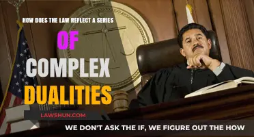 Balancing Act: Law's Dualities in Justice, Morality, and Society
