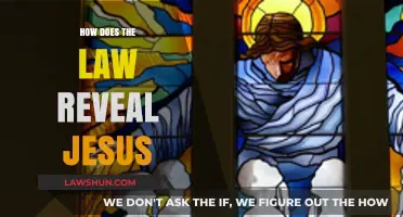 Unveiling Divinity: How Legal Principles Reflect Jesus' Teachings