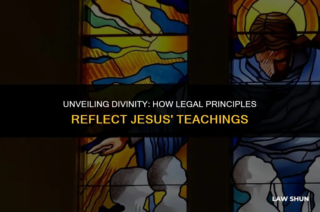 how does the law reveal jesus