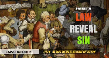 Unveiling Moral Transgressions: A Legal Perspective on Sin
