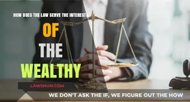 Wealth, Power, and Privilege: How the Law Favors the Rich