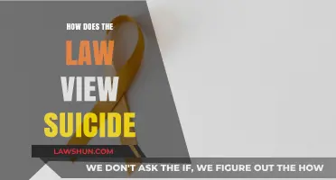 Understanding Suicide Through a Legal Lens: Rights, Responsibilities, and Ramifications