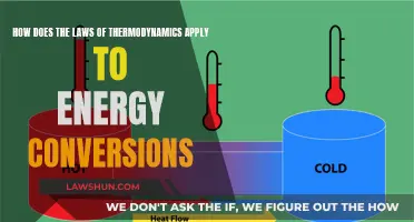 Thermodynamics Laws: Governing Energy Conversions and Efficiency