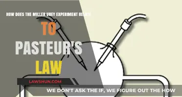 Miller-Urey Experiment vs. Pasteur's Law: Origins of Life Explored