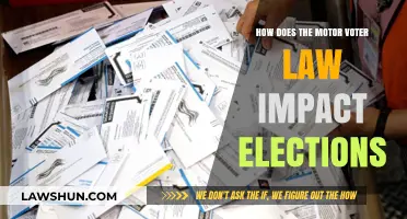 Motor Voter Law: Shaping Elections and Voter Participation Nationwide