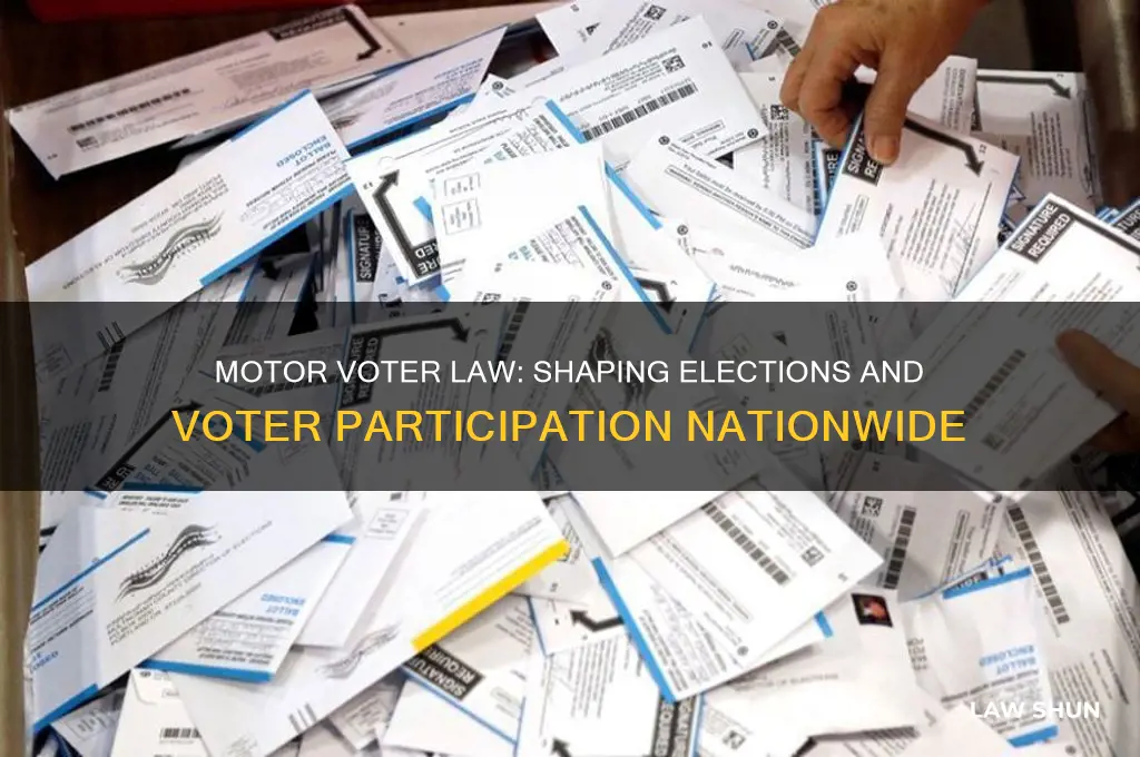 how does the motor voter law impact elections