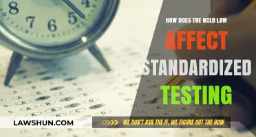 NCLB's Impact: Transforming Standardized Testing in Education