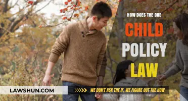 Understanding China's One Child Policy: Impact, Enforcement, and Legacy