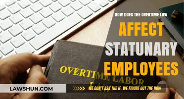 Overtime Law Impact on Statutory Employees: Rights, Rules, and Compensation