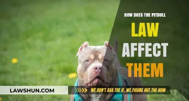 Understanding the Impact of Pitbull Laws on Their Welfare and Ownership