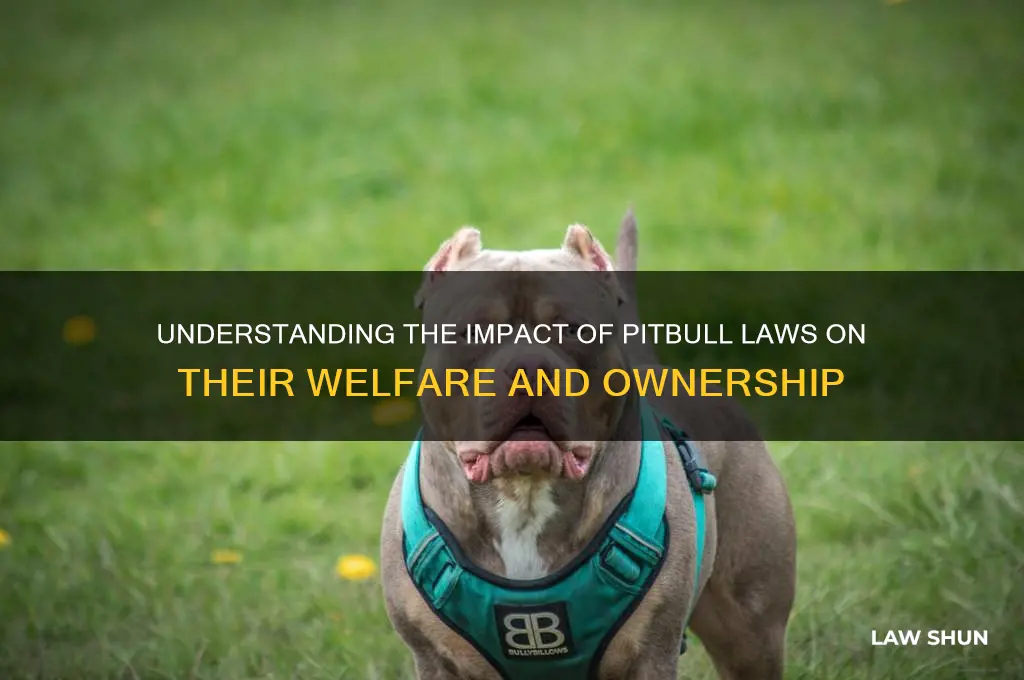 how does the pitbull law affect them
