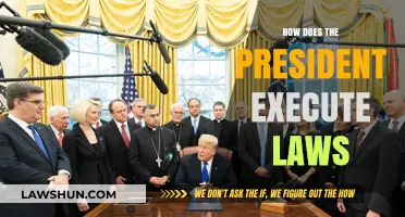 The President's Role in Executing Laws: A Comprehensive Guide