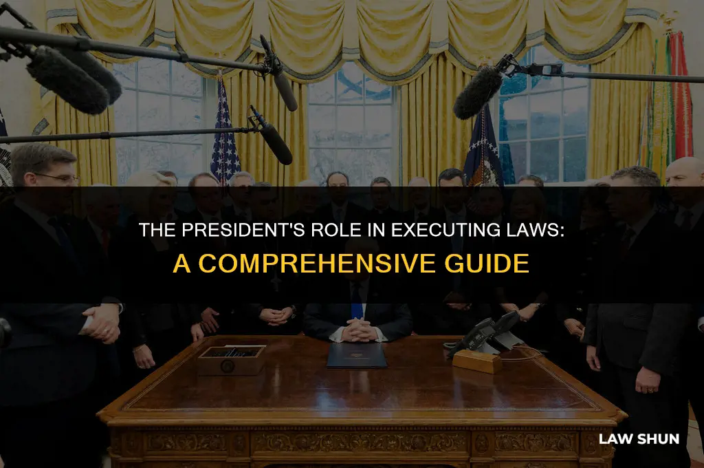 how does the president execute laws