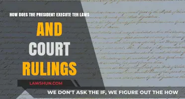 Presidential Power: Executing Laws and Court Rulings in Practice