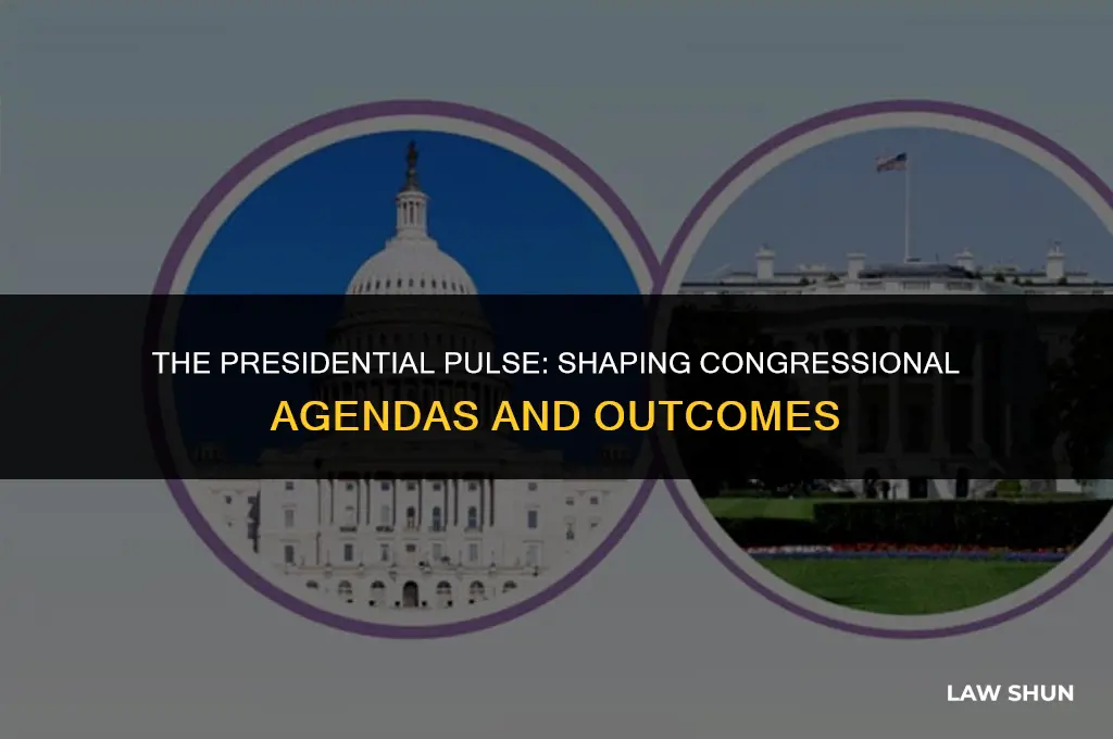 how does the president influence congress