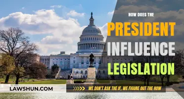 The Presidential Touch: Shaping Legislation Through Influence and Strategy