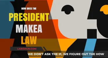 The Legislative Journey: How a Bill Becomes Law Under Presidential Guidance
