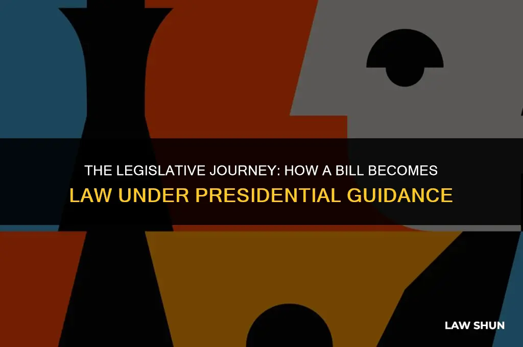 how does the president makea law
