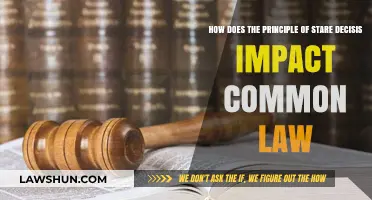 Stare Decisis: The Foundation of Common Law