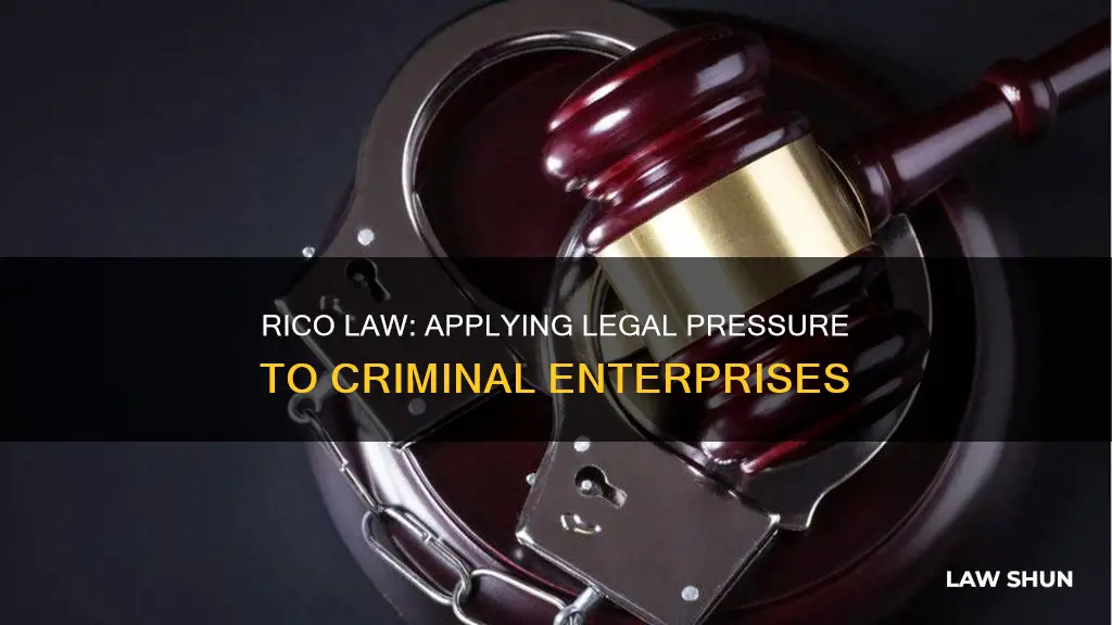 how does the rico law apply to criminals