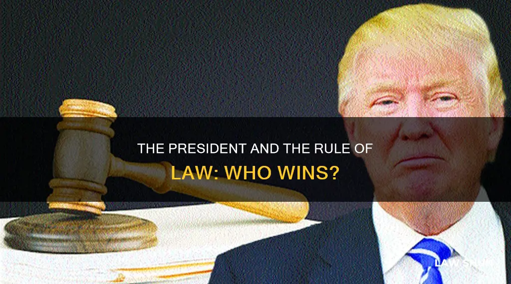 how does the rule of law apply to the president