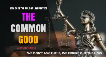 Law's Power: Protecting the Common Good