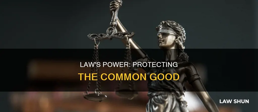 how does the rule of law protect the common good