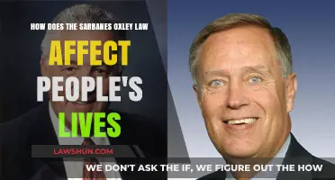 Sarbanes-Oxley Act: Impact on Daily Life and Financial Security