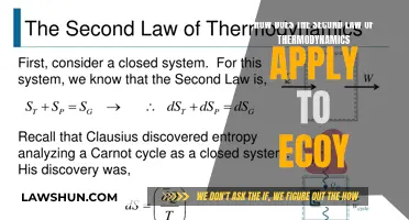 The Second Law of Thermodynamics: Our Environment's Future