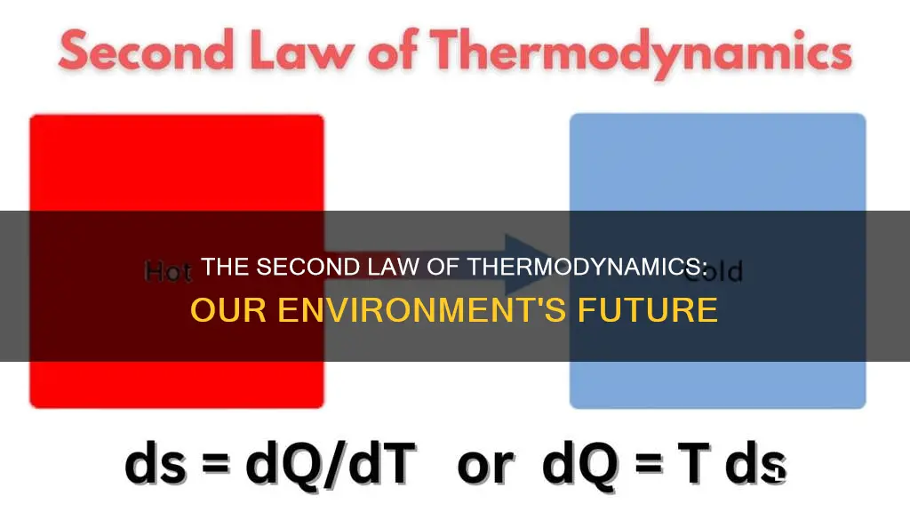 how does the second law of thermodynamics apply to ecoy