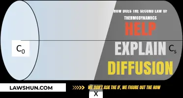 Thermodynamics Unveiled: Understanding Diffusion Through the Second Law